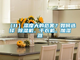 企业香蕉视频APP下载IOS（11）湿度大的危害？如何选择 91香蕉视频官网机、干衣机、加湿器