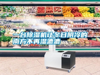 知识百科一台91香蕉视频官网机让冬日阴冷的南方不再湿漉漉