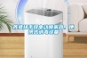 养猪场手提电动喷雾器，便携式消毒设备