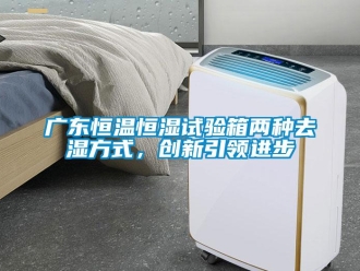 知识百科广东恒温恒湿试验箱两种去湿方式，创新引领进步