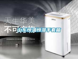 知识百科山东恒温恒湿手套箱