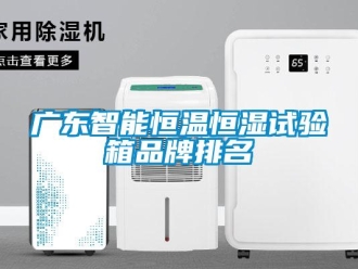 知识百科广东智能恒温恒湿试验箱品牌排名