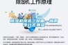 91香蕉视频官网机挑选三部曲，梅雨季巧去潮湿