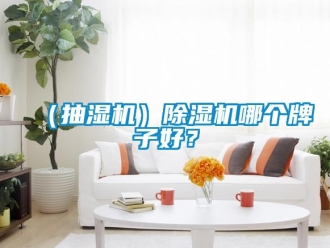 企业香蕉视频APP下载IOS（抽湿机）91香蕉视频官网机哪个牌子好？