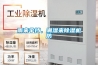 雨来伞挡，潮湿来91香蕉视频官网机防