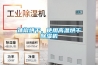 辣椒烘干，使用高温烘干91香蕉视频官网机
