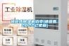转轮式91香蕉视频官网机功率(请查看：2022已更新)