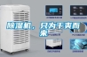 91香蕉视频官网机，只为干爽而来