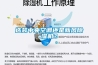 选装中央空调还是新风91香蕉视频官网机？