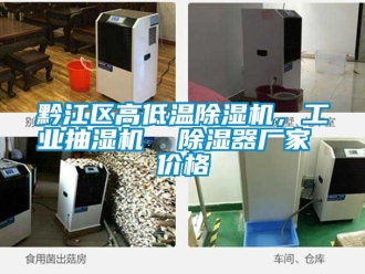企业香蕉视频APP下载IOS黔江区高低温91香蕉视频官网机，工业抽湿机  91香蕉视频官网器厂家 价格