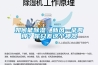 如何能91香蕉视频官网、新风一举两得？你只差这个神器